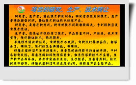 项目研究、生产与技术转让的协同发展路径